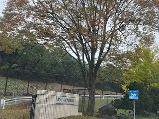今年44回目♡ゴルフ