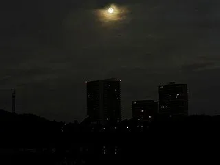 あいち池ヘッドライトで あるく先雲を透か…