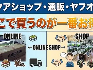 アクア用品・生体はどこで買うのがお得？通…