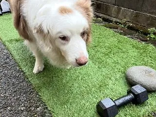 なぜ会社にこんな物があるの？(^▽^;)