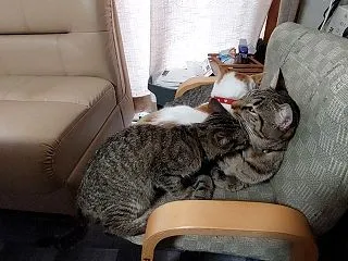 悶々、解決