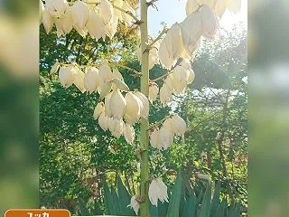 旬に興味無し
