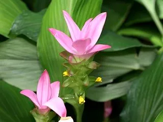 子供達が居ないことにパニック状態