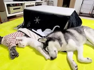 心から安心して