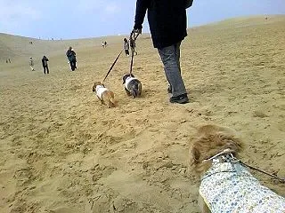 治療開始