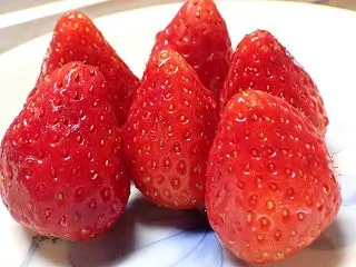 いちご 2日目