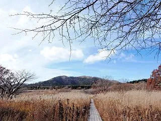 八島湿原
