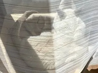 ただはるだけ