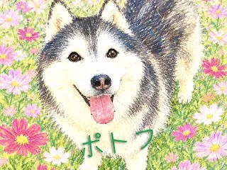 10/25はポっちゃんの命日でした