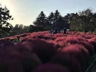 思ったより 近い
