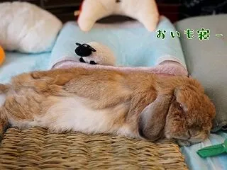 のびー待ち