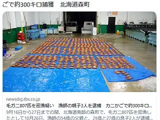 【北海道】毛ガニ807匹を密漁疑い 漁師…