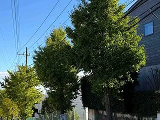 浴室洗面所改造予定表/散歩