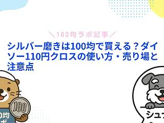 シルバー磨きは100均にある！ダイソー1…