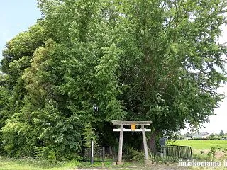 浅間神社 加須市上樋遺川