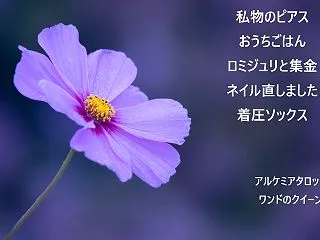 私物のピアス完成