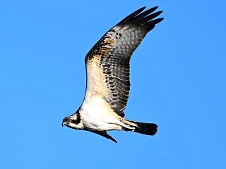 今日も河川敷へ行きました！
