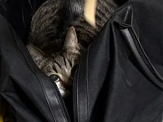 暖探し