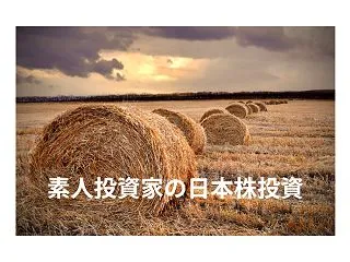 【日本株 1億2,886万円 収益公開 …