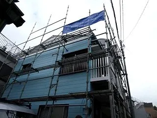 シャインは やっぱりやっぱり高い所が好き…