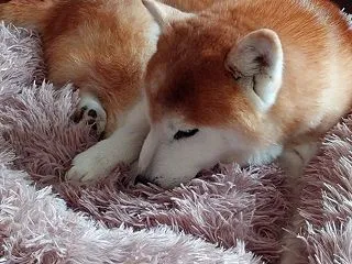 一気に寒く・・・