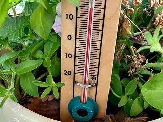先週２１日とえらい差(今朝は15℃)