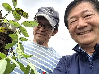 落花生の掘り取りと直売所で「おおまさり」…