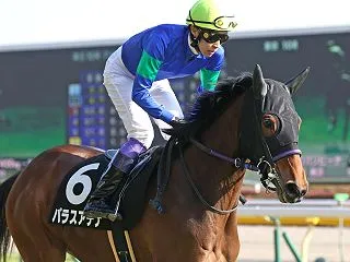 広尾サラブレッドクラブ 2021募集馬詳…