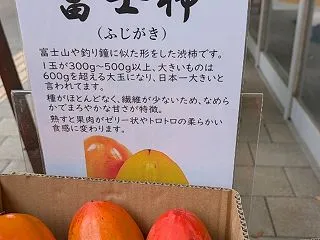 ガーデニング日記〜富士柿