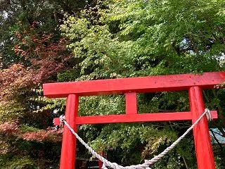 温泉は最高のエネルギーチャージ！鹿児島の…