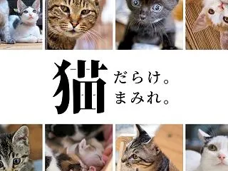 イベント案内