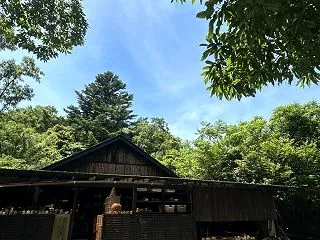 ほけきょ庵陶芸体験の作品が届きました～～…