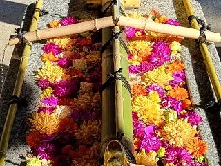 深川花手水と門前仲町の神無月詣【永代寺・…