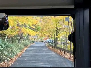 オニスロ('◇')無料バス
