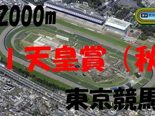 2026年 天皇賞（秋）（GⅠ）の競馬予…