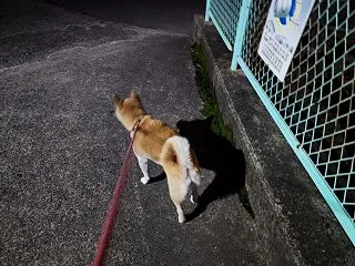 福岡県広川町H様住宅新築工事の福岡県建築…