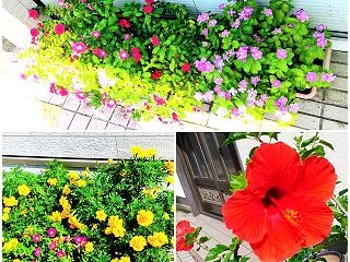 アトリエ教室について、紹介するね❗②