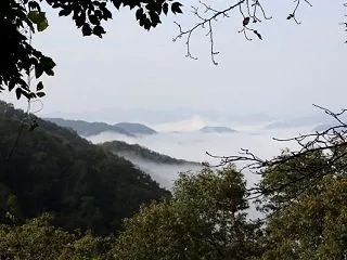 雲海を見に行った