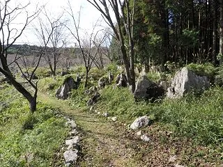 秋吉台の龍護峰