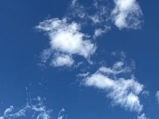TikTok（知念・伊野尾・八乙女ver…