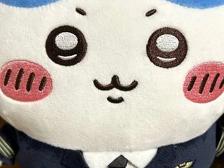 【買ったもの】ハチワレ、かわいい
