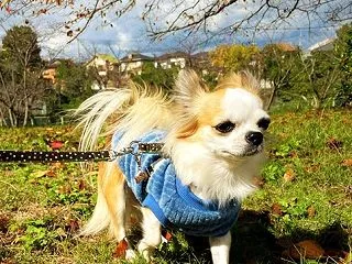 美味しい嬉しい一日💕