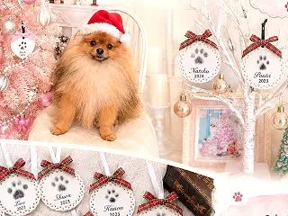 肉球オーナメントワークショップ♡犬イベン…