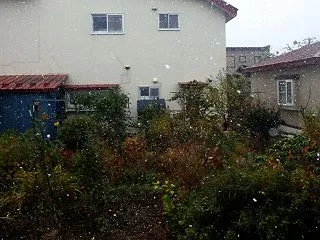 初雪です