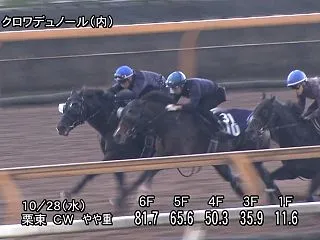 【天皇賞秋2026】追い切り/調教を見て…