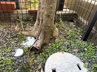 休日？出勤日？