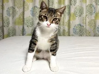 冬がはじまるよ