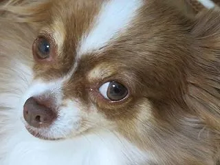 グチグチでの始まりかよ。