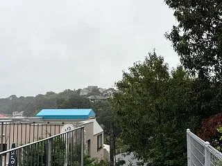 今日こそ好天