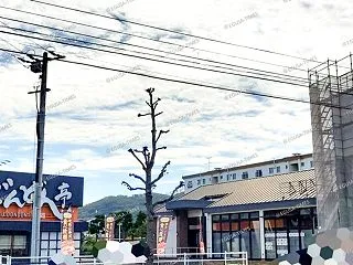 【開店】『 とんかつ濵かつ 岡山倉敷店 …